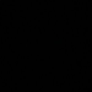 Meet your Posher, Kayden